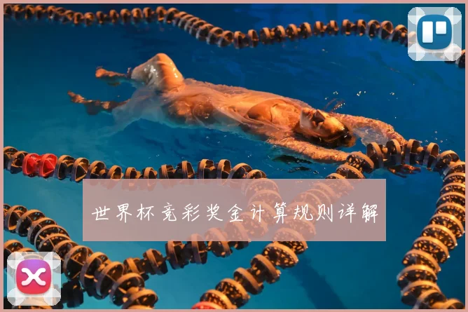 世界杯竞彩奖金计算规则详解