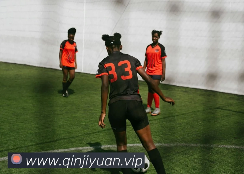 mksports体育 - mk(中国)一站式服务官方网站平台生态图